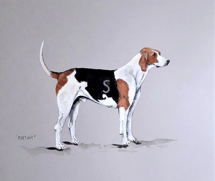 Montjoie, chien de l'Equipage Servant par Jean-Pierre Boitard - Don de l'artiste à la Société de Vènerie